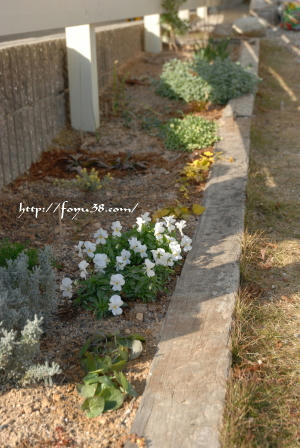 100104flower04.jpg