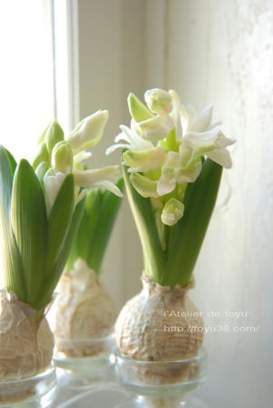 100213flower01.jpg