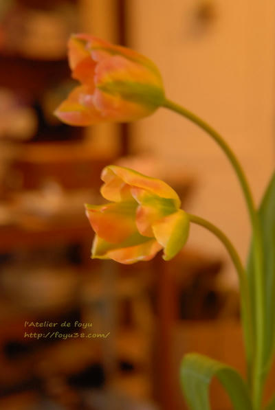 100306h_f02.jpg