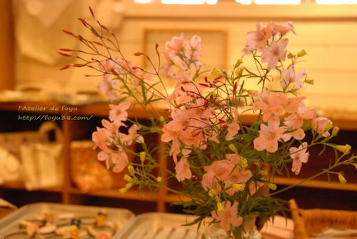 100306h_f06.jpg