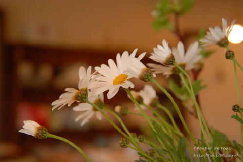100320h_f03.jpg