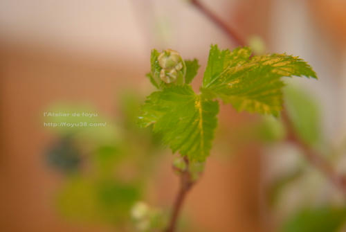 100320h_f05.jpg