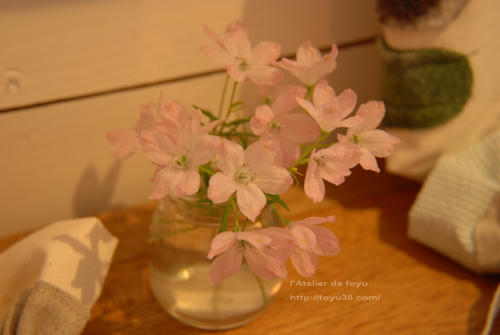 100320h_f06.jpg