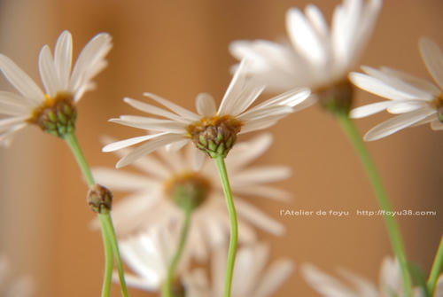 100402h_f05.jpg