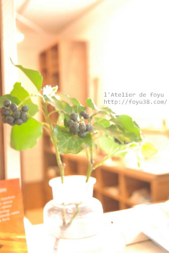 100416h_f04.jpg