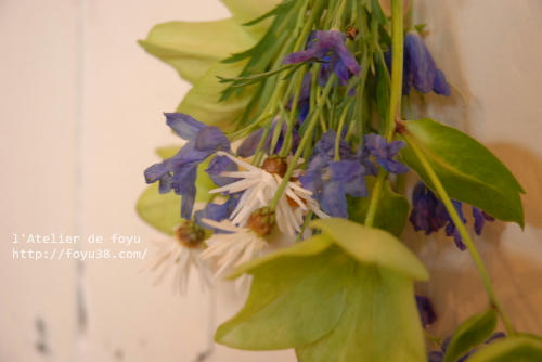 100416h_f06.jpg