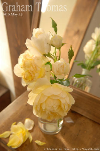 100515rose_gt06.jpg