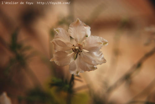 100604h_f05.jpg