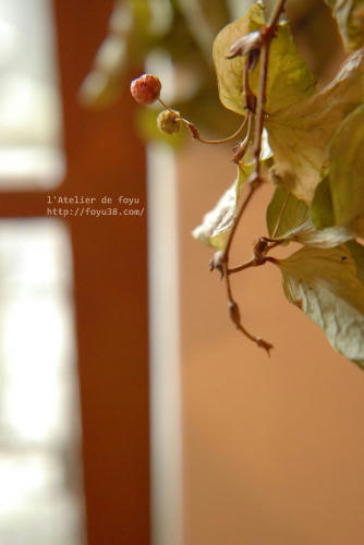 100618h_f10.jpg