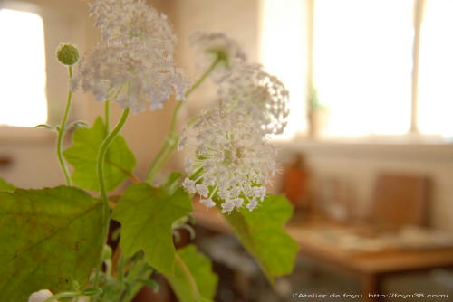 100716h_f04.jpg
