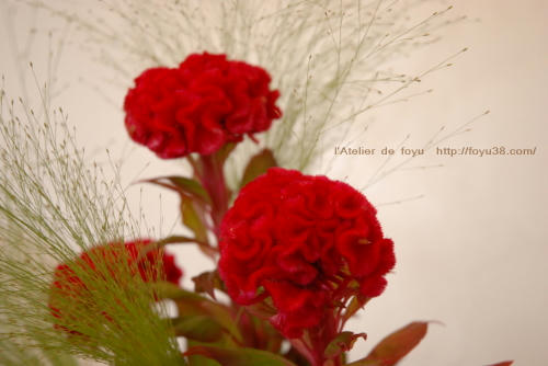100730h_f03.jpg