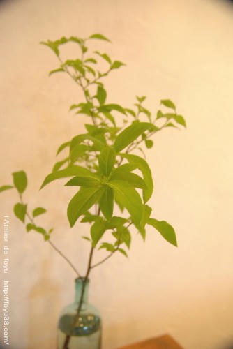 100820h_f05.jpg