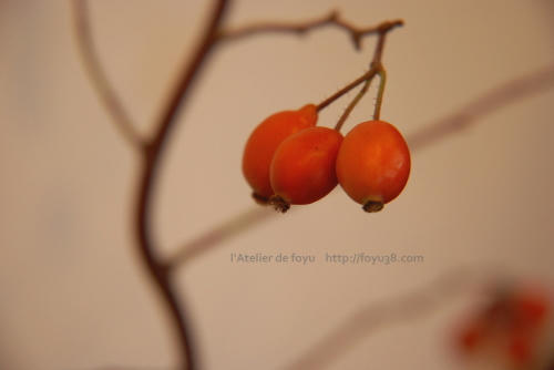 100910h_f04.jpg