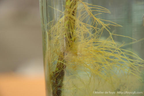 100910h_f05.jpg
