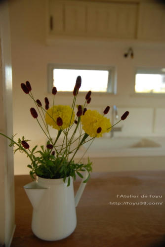 100922h_f04.jpg