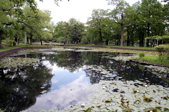 合浦公園