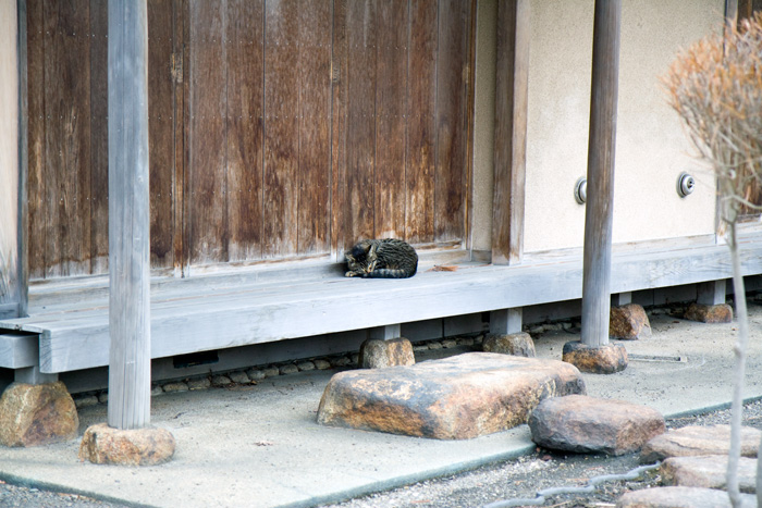 日だまり