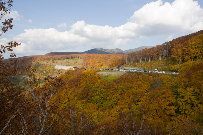 城ヶ倉大橋