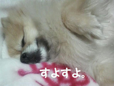 おやすみ