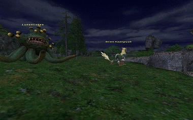 img44.jpg