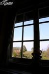 100426_04.jpg