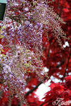 100426_24.jpg