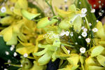 100426_25.jpg