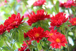111029_12k.jpg