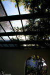 111031_10.jpg