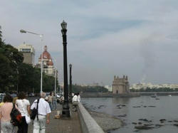 taj6.jpg