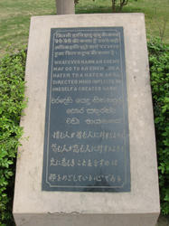 109.jpg