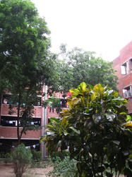 4578ff50.JPG
