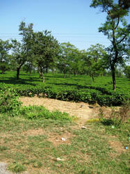 b6542ac1.JPG