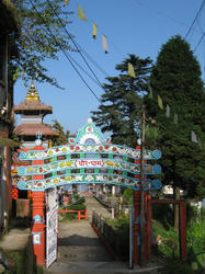 135.JPG