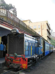 141.JPG