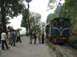 173.JPG