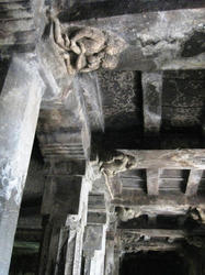 157.JPG