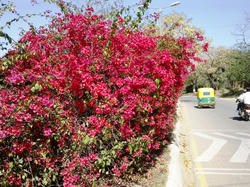 05032010020.jpg