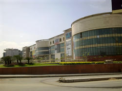 06032010026.jpg