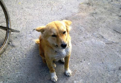 12032010045.jpg