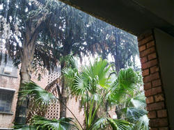 20072010176.jpg