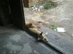23072010189.jpg