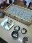 6f789551.jpg