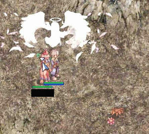ross13.jpg