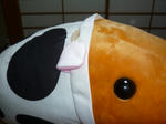 P1000921.JPG