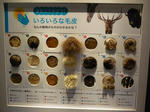 P1110602.JPG
