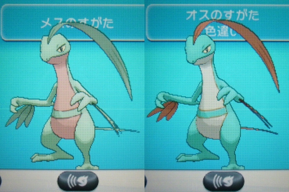 ポケモンxy 色違い比較画像 まぼろし劇場