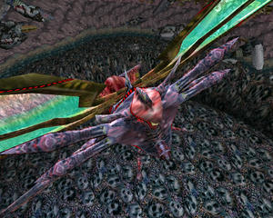 99b70556.JPG