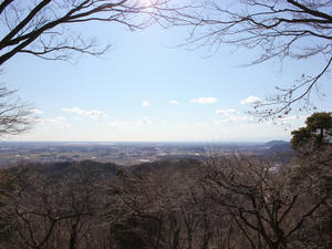 IMG_0456.jpg