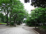karasuyama01.jpg